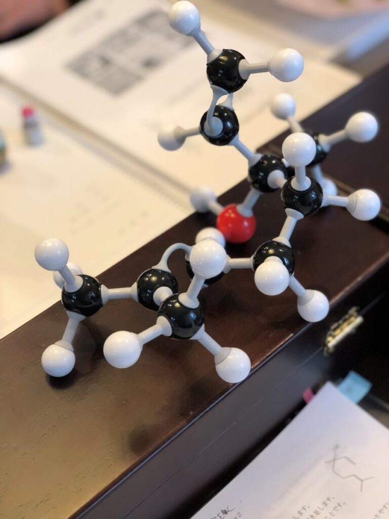 ケトン類が入ってる≠必ず「禁忌、注意」がある 漢方薬局 Herbal Labo ハーバルラボ